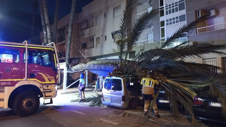 Incidencia por el viento