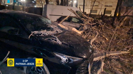 INCIDENCIAS POR VIENTO