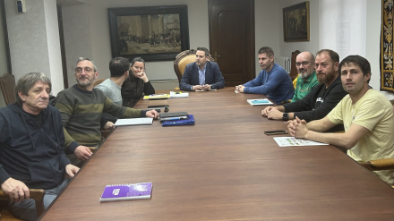 Reunión Nano automotive