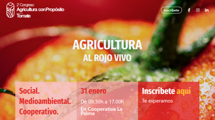 Pedro Ruíz en COPE:"Queremos dar una visión general de las circunstancias que está viviendo el tomate"