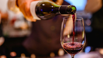 UNATI, el estudio definitivo sobre el consumo de alcohol