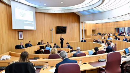 Pleno de la Diputación de Granada