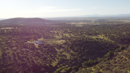 Mina de Cañaveral | Observatorio Ibérico de la Minería