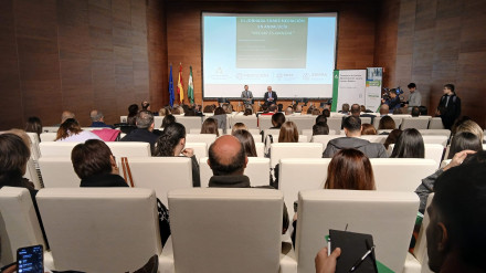 El Servicio de Mediación Penal de la Junta logra evitar 71 juicios en Jaén en siete meses