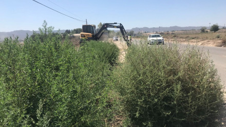 Un tractor desbroza de maleza la cuneta de una carretera en Lorca
