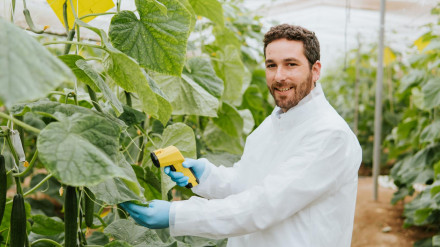 Agustín Rivero, responsable de Desarrollo de pepino en Hazera España.
