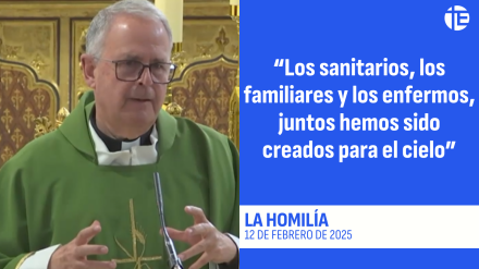 Homilía 12 de febrero de 2025