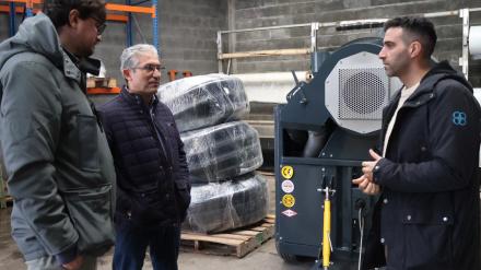 Recolectora de castañas