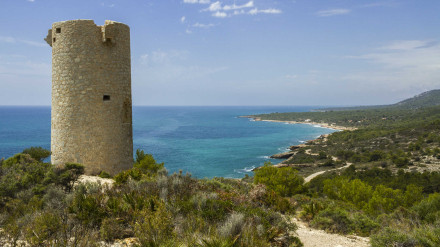 Torre Badum