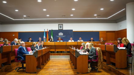 Queda aprobado en pleno el Plan de Actuación Integrado "Motril, identidad y evolución"