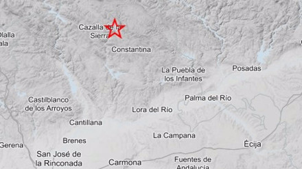 Gráfico del terremoto
