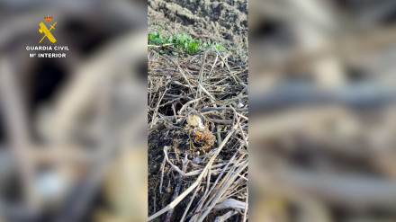 Huye de un chalet de Doroño con joyas robadas, le persigue la Guardia Civil y una foto lo delata