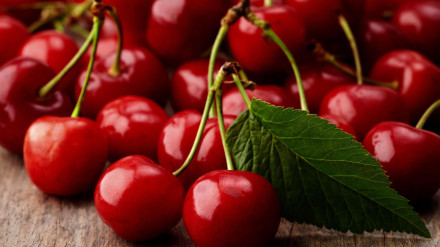 La D.O.P Cereza del Jerte certifica tres nuevas variedades de cereza y extenderá su presencia en el mercado