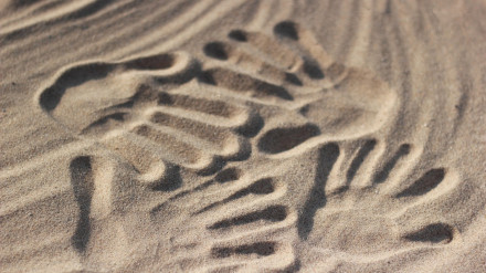 Caminar en mayúsculas, con Miguel Lechuga