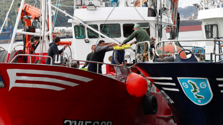 Dos embarcaciones en el puerto de Avilés descargando bocarte
