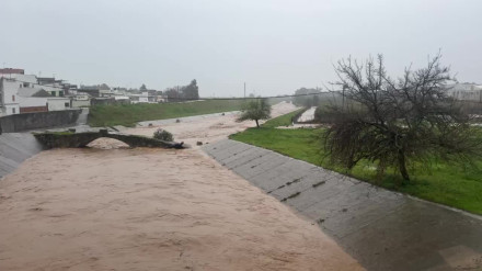 Desbordado el arroyo Jondo a su paso por la localidad sevillana de Lora del Río