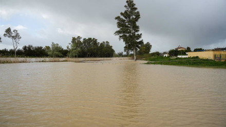 Imágenes de la crecida del río Guadalete