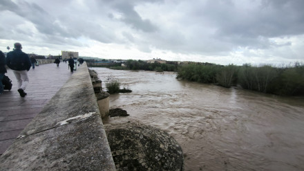 Río Guadalquivir a su paso por Córdoba