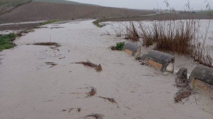 Imagen de la carretera provincial CO-3204, entre Córdoba y Castro del Río, cortada al tráfico al estar anegada por el agua.POLITICA ANDALUCÍA ESPAÑA EUROPA CÓRDOBADIPUTACIÓN DE CÓRDOBA