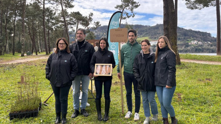 La jornada de reforestación tuvo lugar en el pinar de la playa de A Magdalena en Cabanas