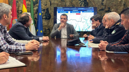 Reunión del comité asesor del Plan de Emergencia Local presidido por el alcalde de Córdoba, José María Bellido.POLITICA ANDALUCÍA ESPAÑA EUROPA CÓRDOBAAYUNTAMIENTO DE CÓRDOBA