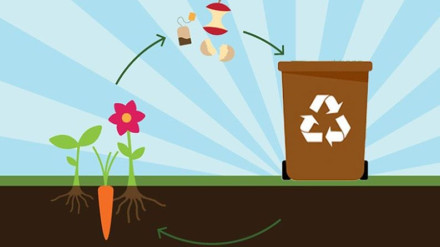 Contenedor para reciclado orgánico