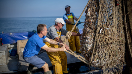 Los pescadores extraen los residuos que se encuentran en el mar