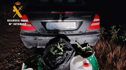 El incremento de patrullas en zonas agrícolas ha permitido la intervención en un hurto de verduras en Azagra