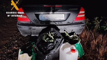 19/03/2025 Identificado por hurtar verduras de un campo en AzagraSOCIEDAD GUARDIA CIVIL