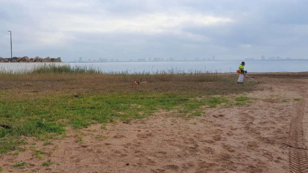 Imagen del proyecto de regeneración de la playa