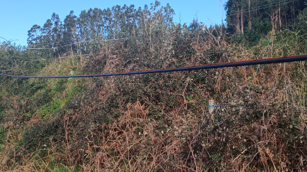 Imagen del estado de los cables de comunicaciones en Anca, Neda