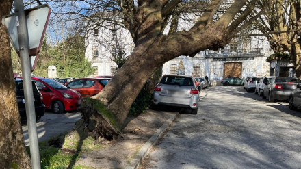 El incidente no ocasionó ningún daño en los vehículos de la zona