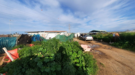Cáritas auxilia a cinco familias rumanas desalojadas en Córdoba por riesgo de inundación
