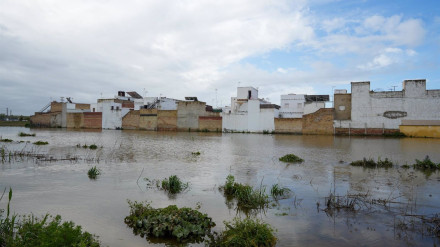Zonas inundada en El Palmar de Troya