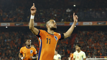 Cody Gakpo celebra el empate de Países Bajos contra España