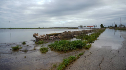 Inundaciones en El Palmar de Troya.