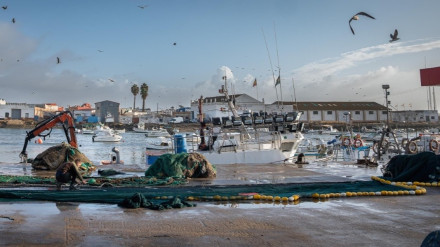 Imagen del puerto pesquero de Isla Cristina