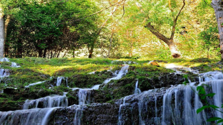 Imagen del Monasterio de Piedra, en la provincia de Zaragoza