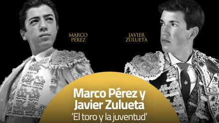Marco Pérez y Javier Zulueta, mano a mano en Cajasol