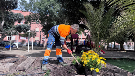 Un jardinero municipal planta flores en Puerto Lumbreras