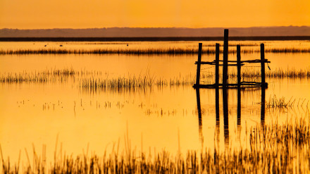 Al atardecer, una estructura de medición científica se alza en las tranquilas aguas de Lucio del Lobo en el Parque Nacional de Doñana.