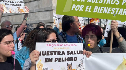 Los veterinarios continúan con su calendario de movilizaciones.