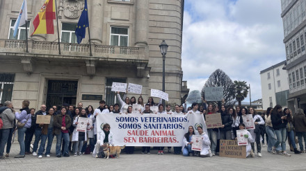 Veterinarios concentración