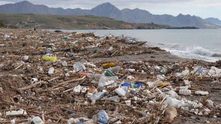 Imagen de los arrastres de basura en la playa de Puntas de Calnegre antes de su limpieza