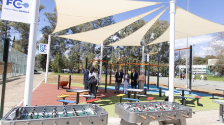 Vista general del parque y de la zona de juegos