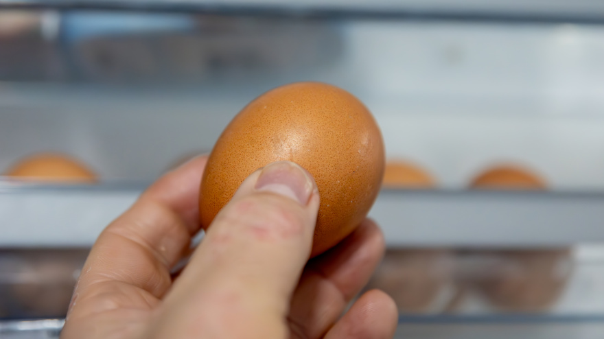 Un huevo sostenido entre unos dedos frente a una nevera