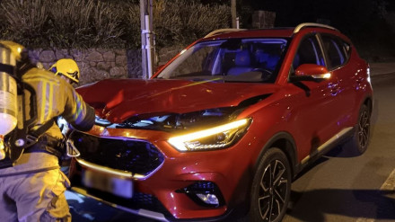 Los bomberos ante el vehículo con el que colisionó el caballo