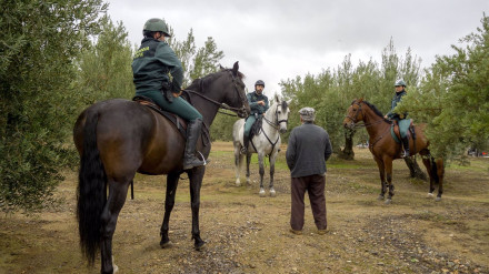 Dispositivo de vigilancia durante la campaña