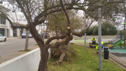 El Ayuntamiento de Maó ejecuta el plan de choque de limpieza y mantenimiento en Sant Climent