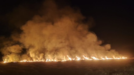 El fuego calcinó mote rraso